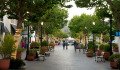 Monterey