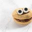 Monster Cookie
