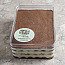 Tiramisù